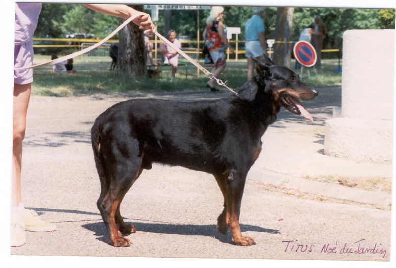 Titus De la noé du jardin