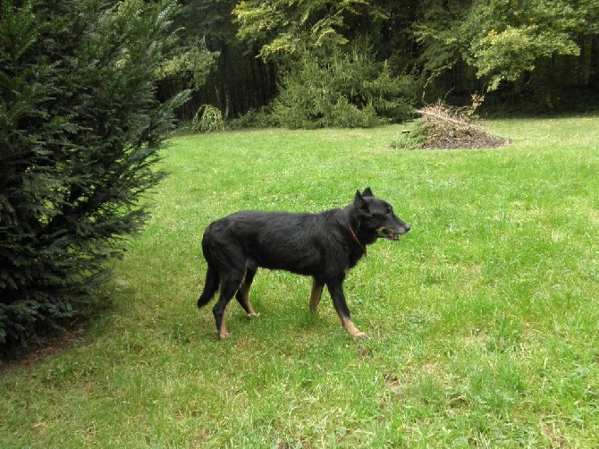 De la noé du jardin - Super anniversaire : 14 ans !!!