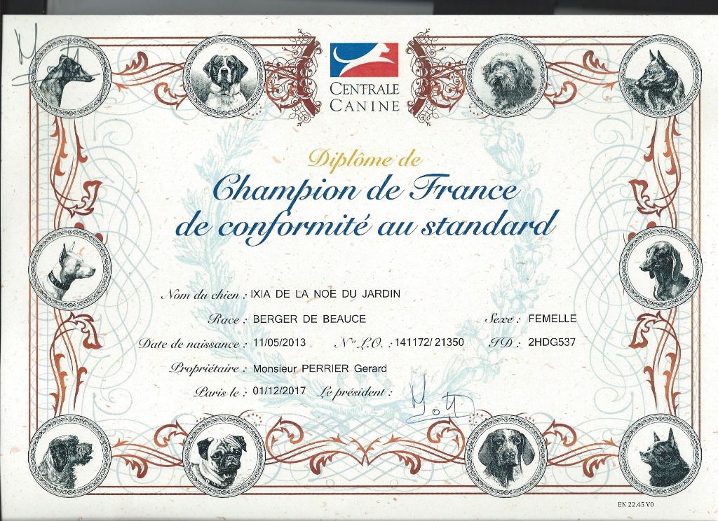 De la noé du jardin - IXIA CHAMPIONNE DE FRANCE