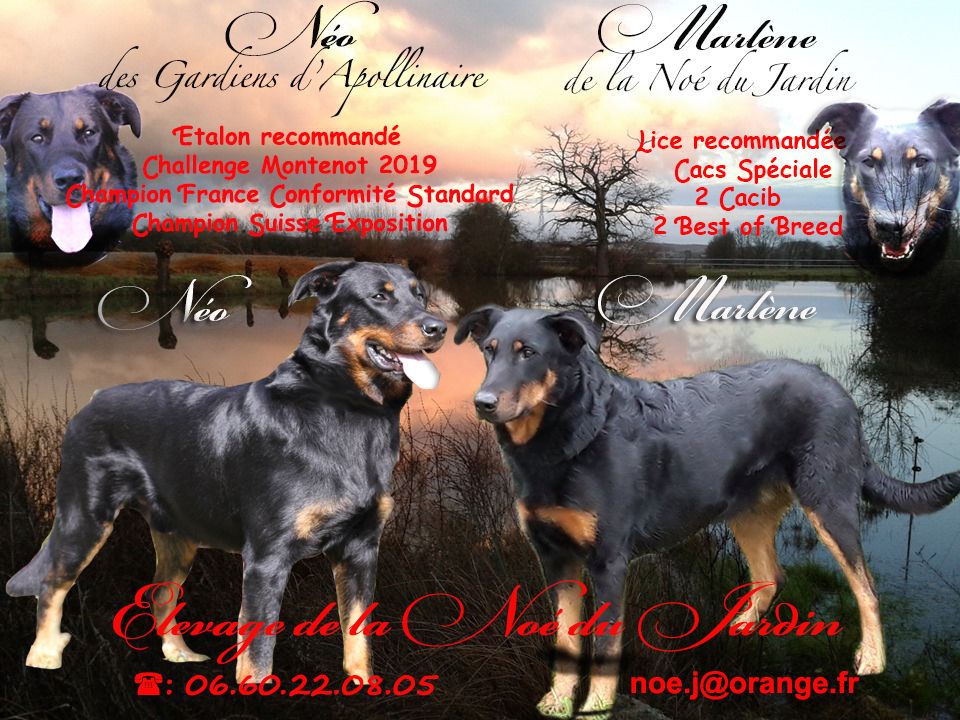 De la noé du jardin - NAISSANCES